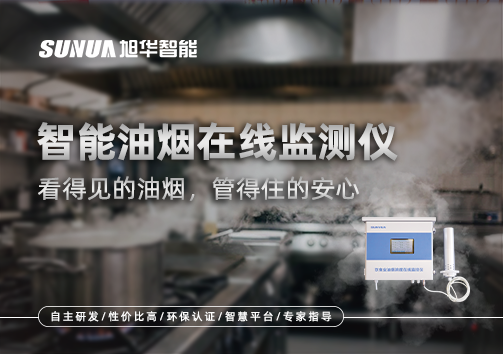 智能油烟在线监测仪：看得见的油烟，管得住的安心